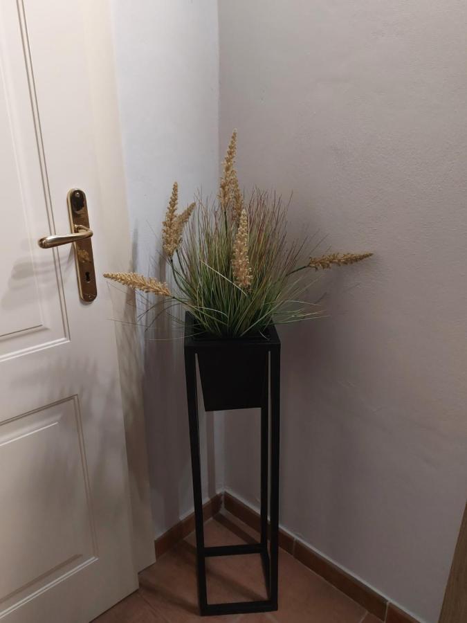 Dodo'S House Hotel Ferrara Luaran gambar